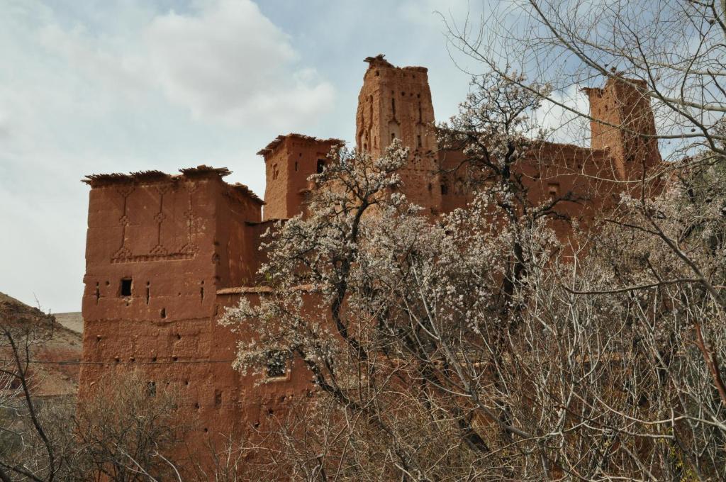 Bed and Breakfast Kasbah Tigmi N'Oufella Telouet Exterior foto
